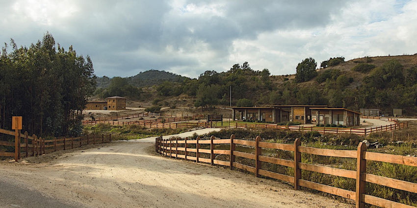 Proyecto Bosques de la Laguna de Inmobiliaria Gestion El Alamo-3