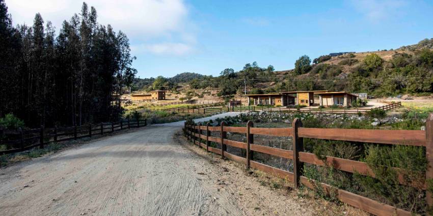 Proyecto Bosques de la Laguna de Inmobiliaria Gestion El Alamo-6