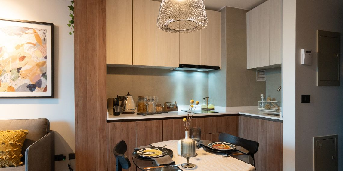 Proyecto Parque Araya de Inmobiliaria Echeverria Izquierdo-6