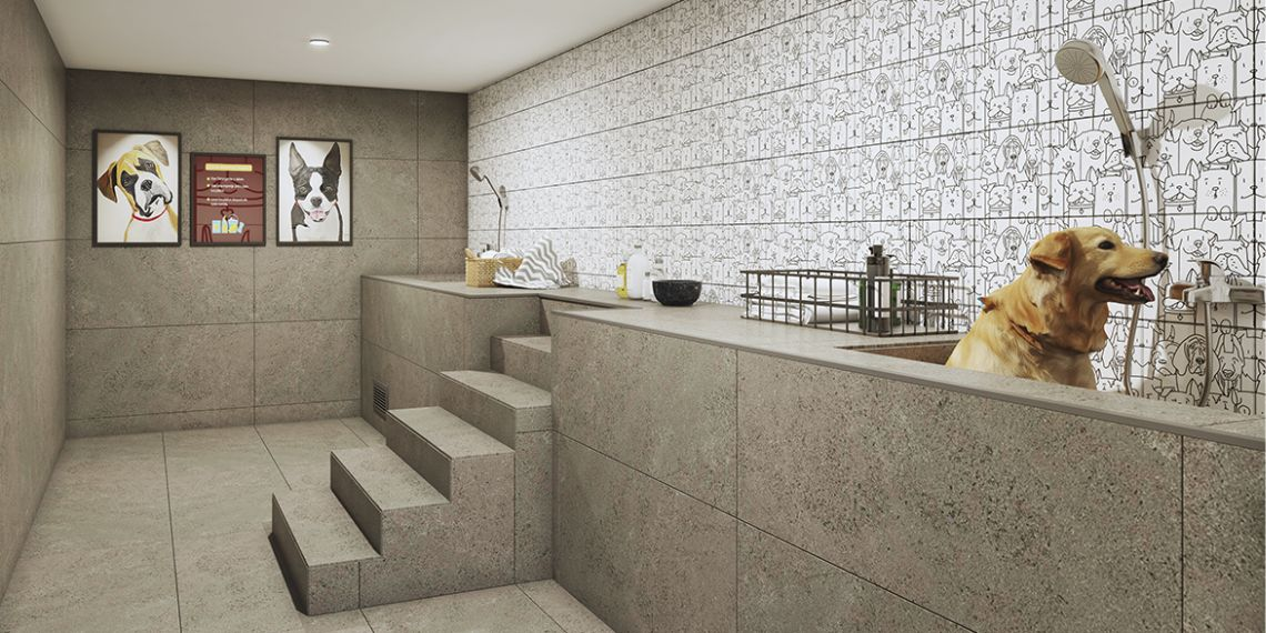 Proyecto Plaza Lira de Inmobiliaria Paz-6