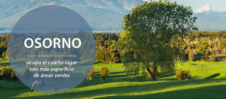 Osorno ocupa el cuarto lugar con más superficie de áreas verdes