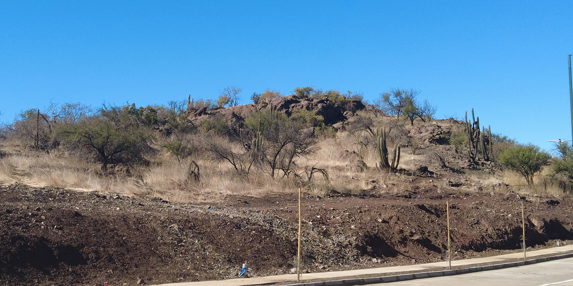 Proyecto El Pedregal de Inmobiliaria La Reserva-3