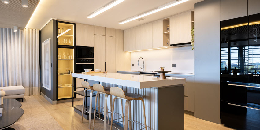 Proyecto Distrito Paulista de Inmobiliaria Plaenge-4