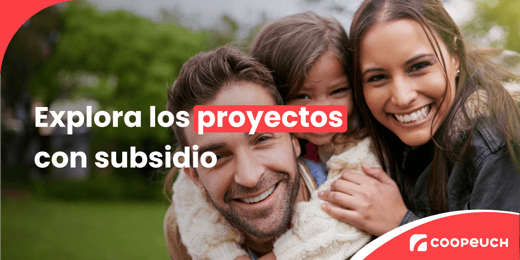 Proyectos con Subsidio 