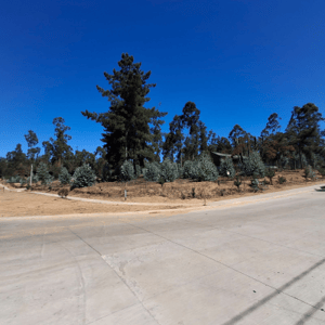 p20267930swa-1