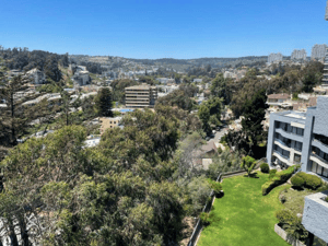 vende-amplio-departamento,-renaca-(170214)-1