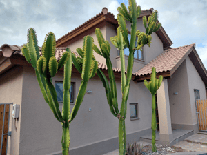casa-amplia-y-luminosa-con-jardin-(171297)-1