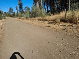 -4