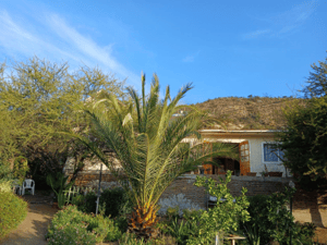 parcela-con-piscina,-gran-casa-y-arboles-frutales-1