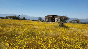 venta-parcela-10000000mts-zapallar-1