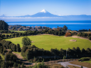 terreno-amplio-ideal-para-inversion-(174343)-1