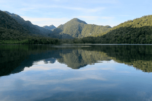 venta-terreno-parcela-aysen-puerto-bonito-a-ori-1