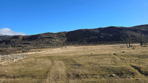 hermosa-propiedad-478-ha-puerto-bertrand-(174437)-1