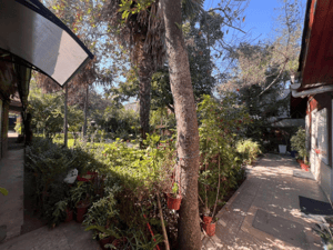 gran-casa-con-amplio-jardin-puente-alto-1