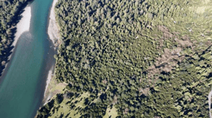 24-ha-orilla-rio-palena-(119695)-1