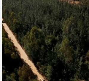 venta-parcela-5000mts-puchuncavi-1