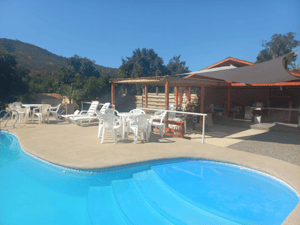 fundo-de-11-hectareas-en-venta,-con-produccion--1