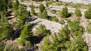 terreno-de-5000-m2-en-armerillo-asfaltado-hasta-1