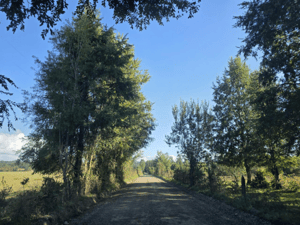 parcela-en-venta-rol-propio-chancoyan-alto-1
