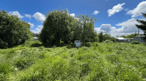 venta-hermoso-terreno-en-el-centro-de-fresia-1