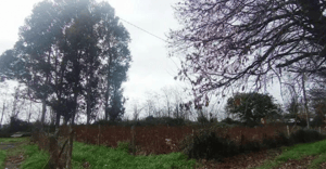 terreno-rural-agricola-15700-mt2-1