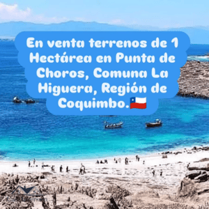 en-venta-60-hectareas-de-terreno-en-la-hermosa--1