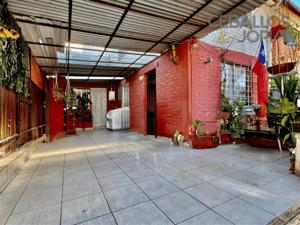 101006650-1