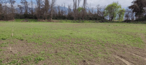 tu-parcela-sonada-en-graneros-plana,-con-agua,-luz-1