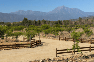 venta-parcela-plana-y-central-en-limache,-lliu--1