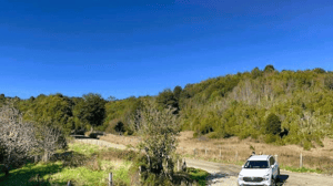 parcela-plana-5000-m2-rol-propio-1315-uf-1