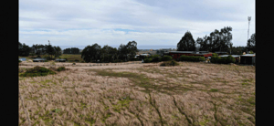 venta-terreno---sitio-5550mts-pichilemu-1