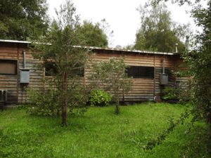 parcela-de-6000m2-con-casa,-tu-mejor-oportunidad-1