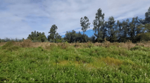 venta-de-parcela,-5000mt2-de-terreno,-camino-sa-1