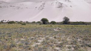 valle-de-lluta-huanta-parcela-13800-mt2-1