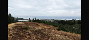 venta-terreno---sitio-5000mts-pichilemu-1