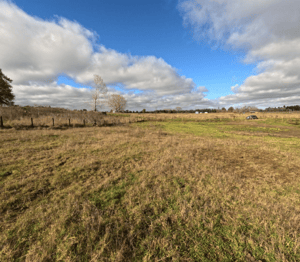 terreno-10000m2-en-parcela-baquedano---osorno-1