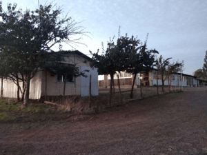 -5