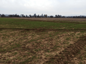 propiedad-agricola-en-venta,-16,4-ha,-san-clemente-1