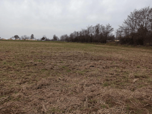 propiedad-agricola-en-venta,-campo-de-21-ha,-sa-1