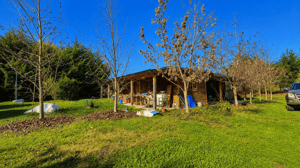 propiedad-de-5200-mt2-con-2-cabanas-en-venta,-m-1