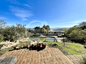 114083332-1