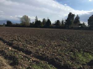 -4