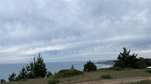 114078780-1