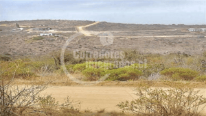 -5