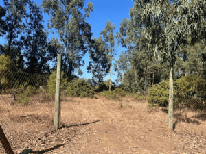 104106651-1