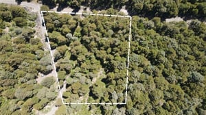 114122731-1