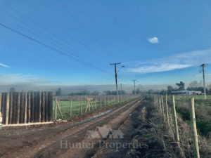 -5