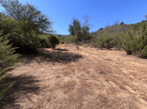 -3