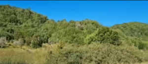 -5