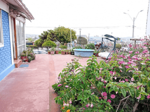 -3